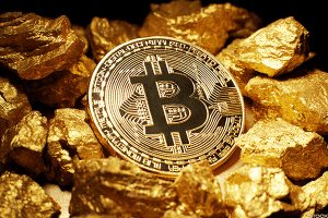 Fidelity’s Director Expects Further Gains for Bitcoin (BTC) Comparing It to 1970s Gold Rally