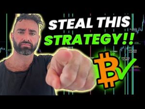 Steal This Bitcoin Bull Market Strategy For 2024