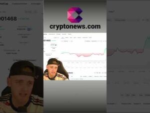 Floki Coin: Price Predictions #shorts