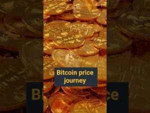 Bitcoin: $100k! What's Next in 2025?