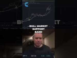 Bitcoin 2024 vs